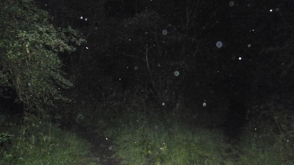DSCF0583