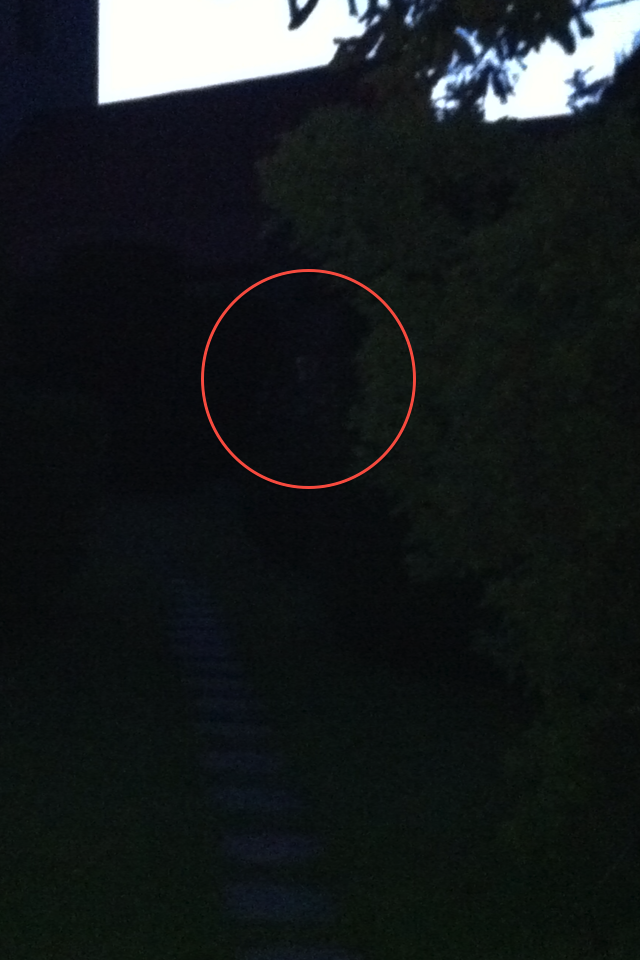 Borley Rectory Sighting Ghosts